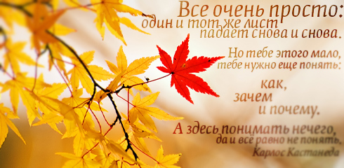 http://ru.fishki.net/picsw/032009/02/quote/049.jpg