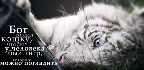 http://ru.fishki.net/picsw/032009/02/quote/052.jpg