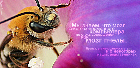 http://ru.fishki.net/picsw/032009/02/quote/055.jpg