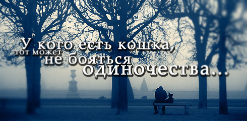 http://ru.fishki.net/picsw/032009/02/quote/058.jpg
