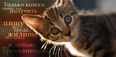 http://ru.fishki.net/picsw/032009/02/quote/059.jpg