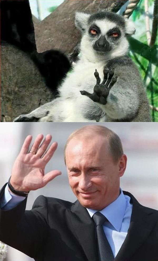 Привет, мистер Путин (20 фото)