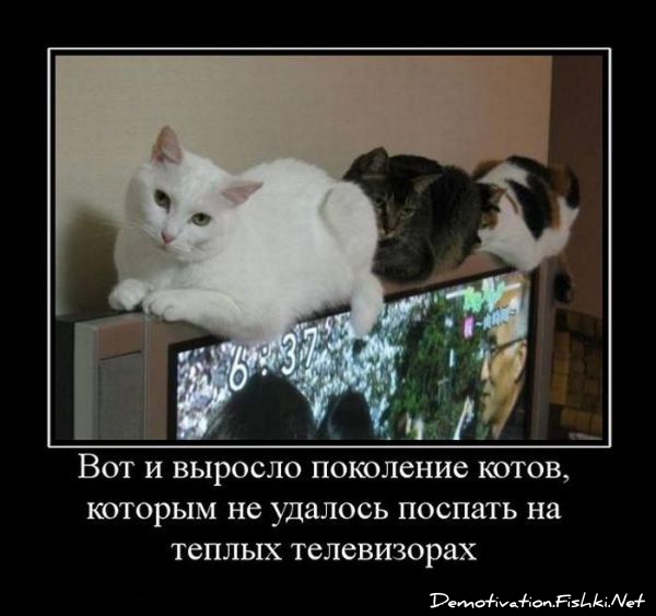 http://ru.fishki.net/picsw/032010/19/post/demotivator/demotivator056.jpg