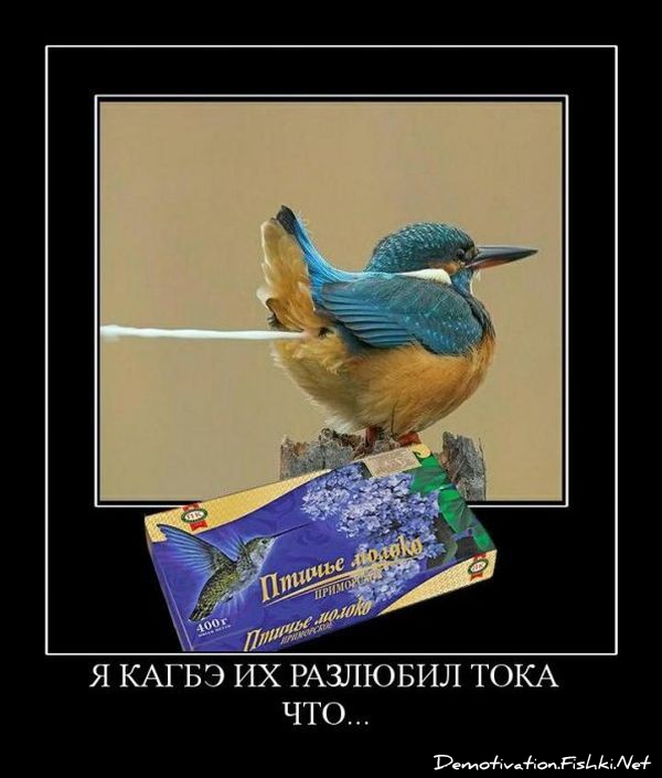 http://ru.fishki.net/picsw/032010/19/post/demotivator/demotivator091.jpg