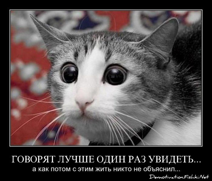 http://ru.fishki.net/picsw/032010/26/post/demotivator/demotivator113.jpg