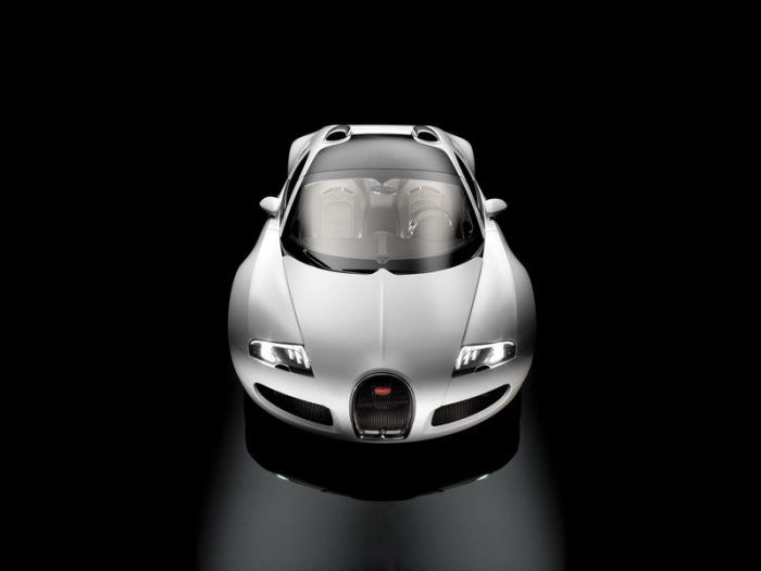 Bugatti Veyron Grand Sport    (31 )