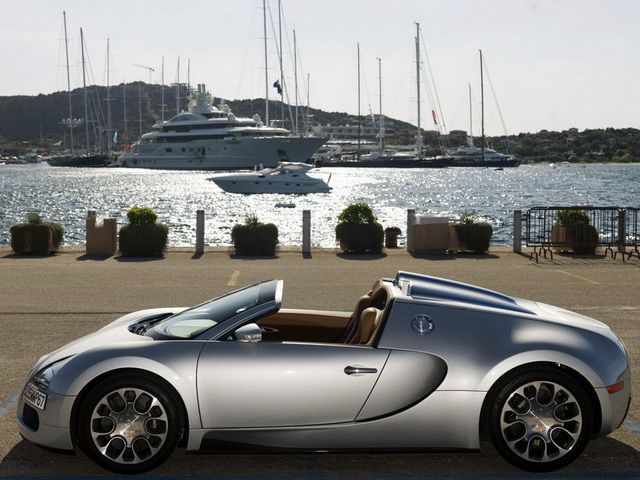 Bugatti Veyron Grand Sport    (31 )