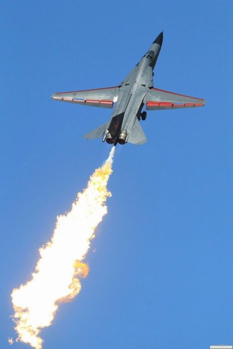 ������� (174 ����)