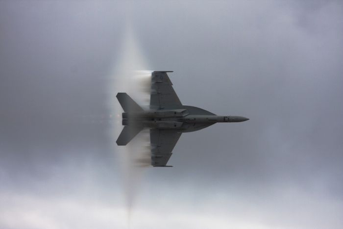 ������� (174 ����)