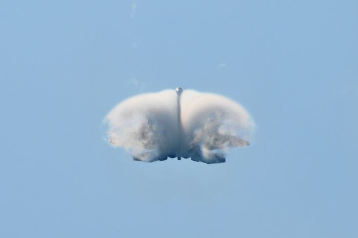 ������� (174 ����)