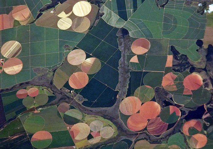 Сельское хозяйство: вид из космоса (8 фото)