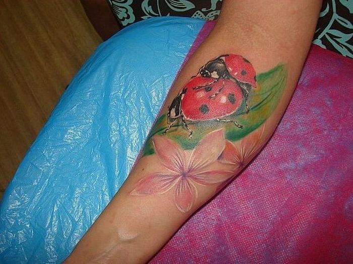 �֮��ļy����42����Ƭ��