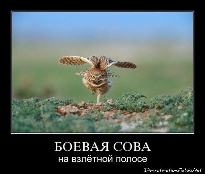 http://ru.fishki.net/picsw/032012/28/post/demotivator/demotivator-0009.jpg