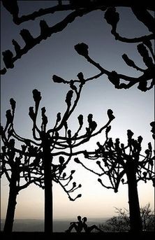 Просто лучшие фото (172 фото)