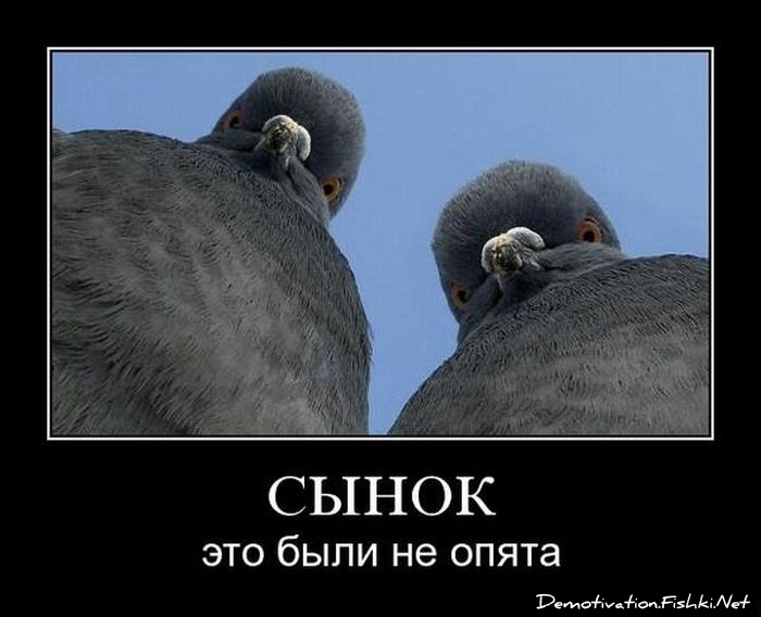 http://ru.fishki.net/picsw/042010/02/post/demotivator/demotivator027.jpg