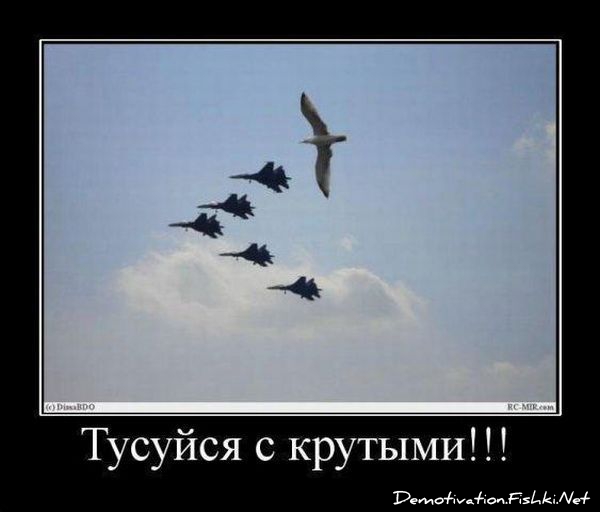 http://ru.fishki.net/picsw/042010/09/post/demotivator/demotivator013.jpg