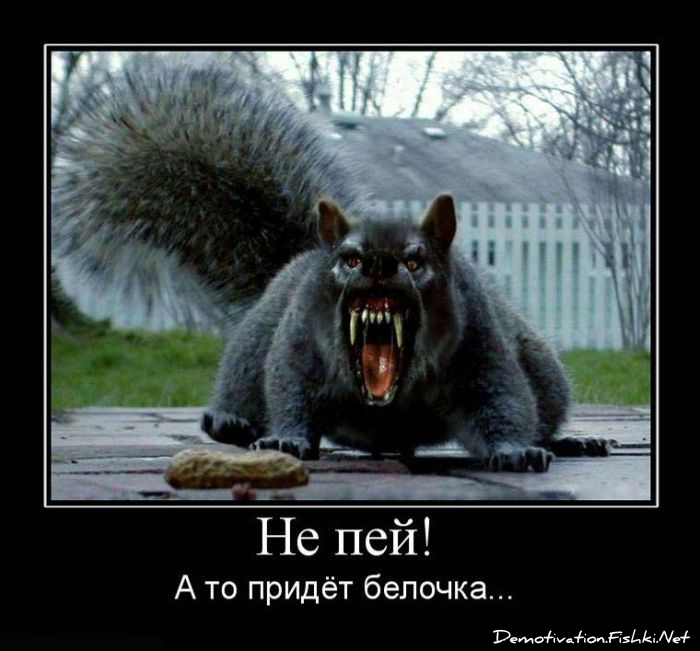 http://ru.fishki.net/picsw/042010/30/post/demotivator/demotivator117.jpg