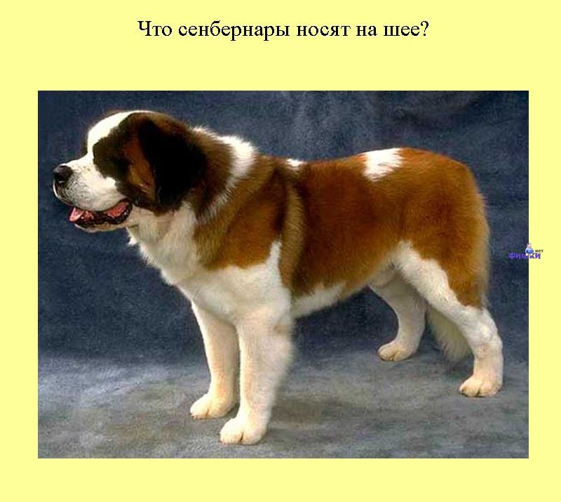 Книга всеобщих заблуждений. Часть 2. (30 фото)