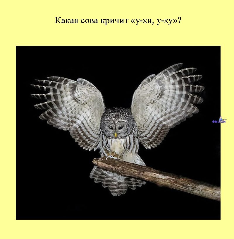 Книга всеобщих заблуждений. Часть 2. (30 фото)
