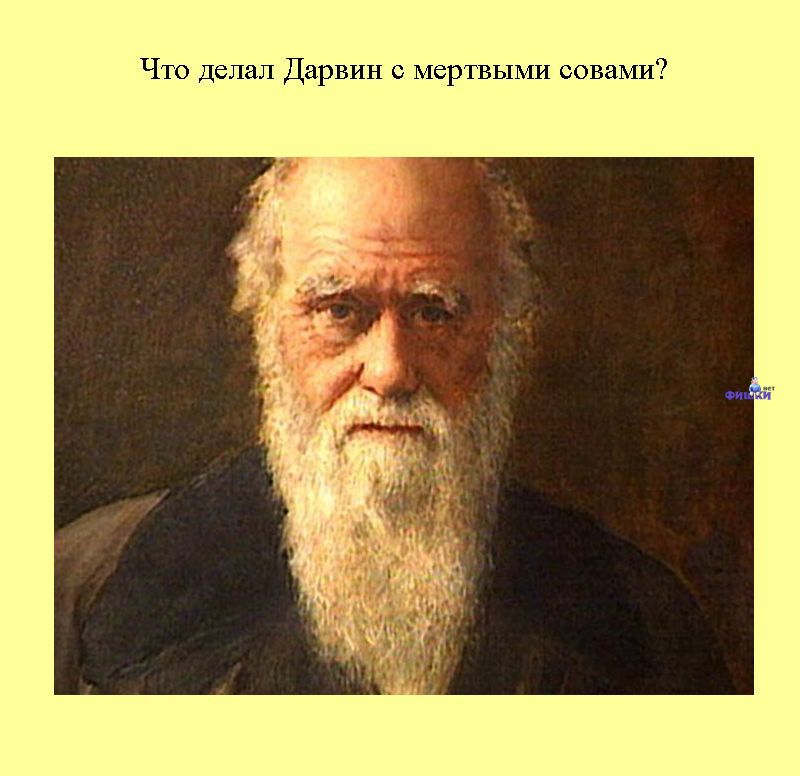 Книга всеобщих заблуждений. Часть 2. (30 фото)