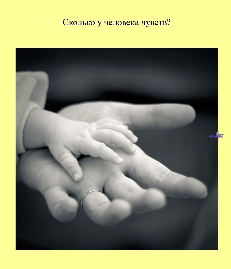 Книга всеобщих заблуждений. Часть 2. (30 фото)