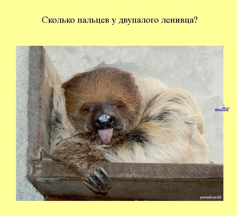 Книга всеобщих заблуждений. Часть 2. (30 фото)
