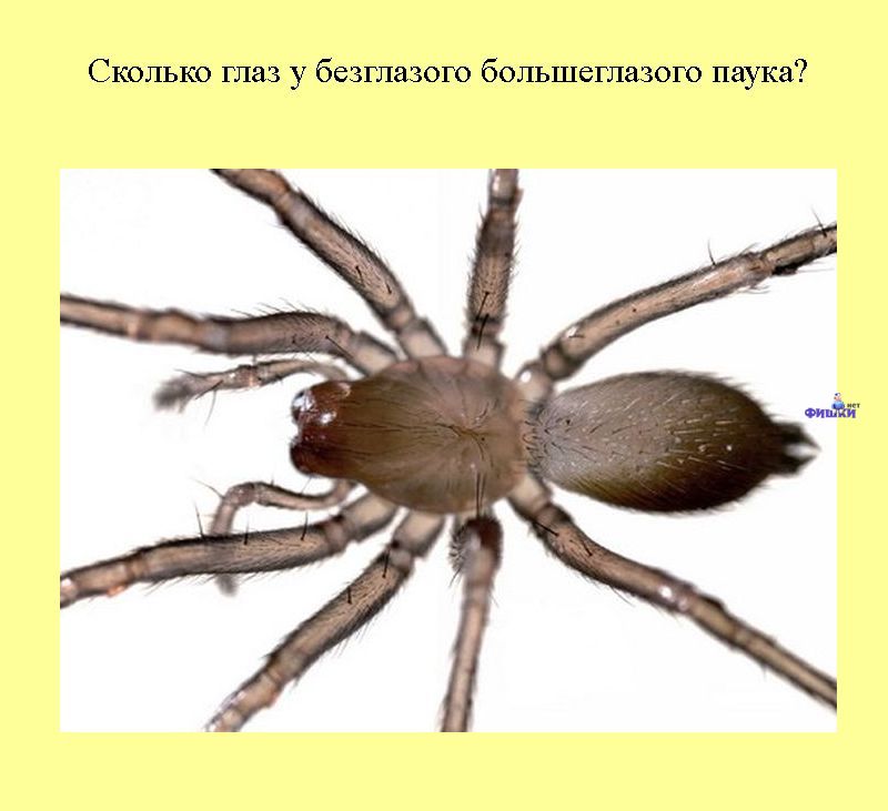 Книга всеобщих заблуждений. Часть 2. (30 фото)
