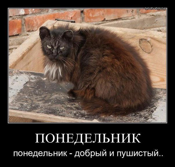 http://ru.fishki.net/picsw/042013/15/post/dem/dem-0007.jpg