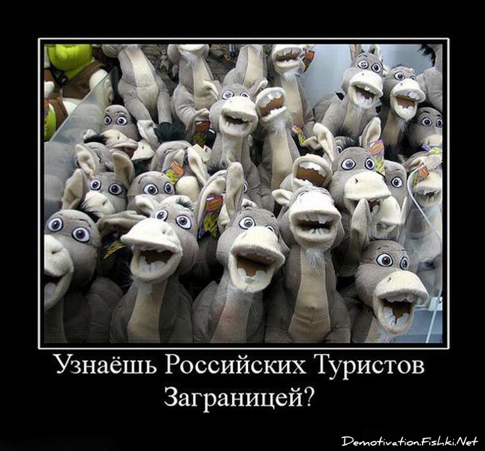 http://ru.fishki.net/picsw/052010/14/post/demotivator/demotivator019.jpg