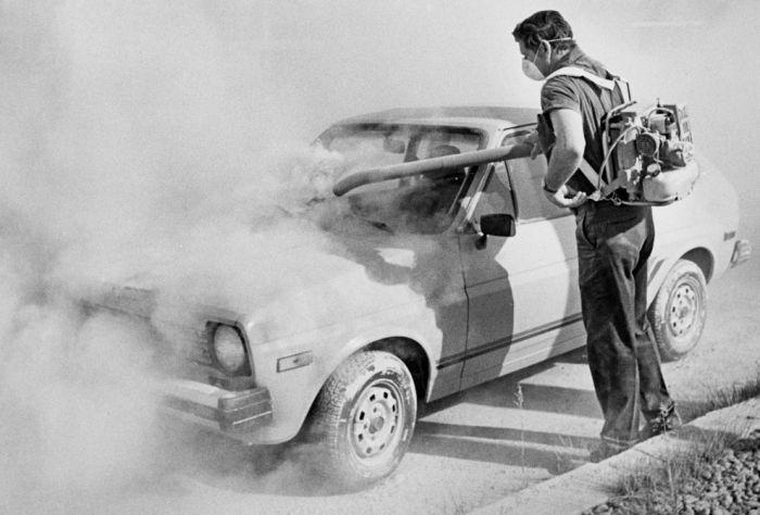 ���������� ������� ����-������, 1980 ��� (35 ����)