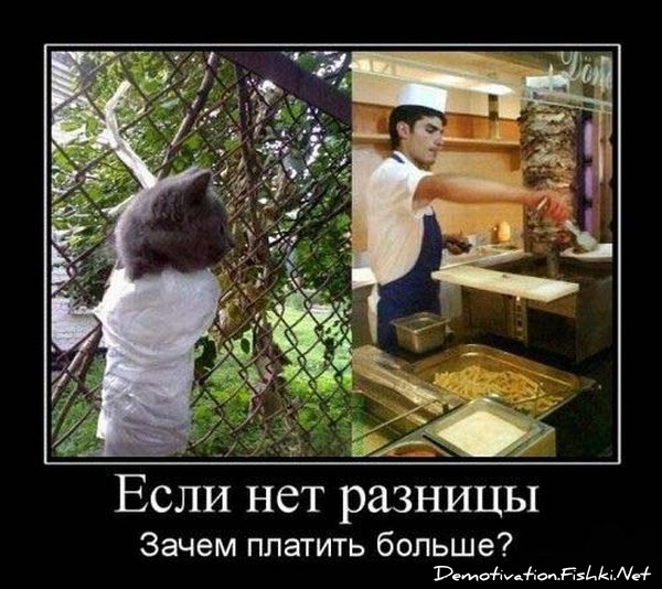 http://ru.fishki.net/picsw/052010/28/post/demotivator/demnotivator024.jpg