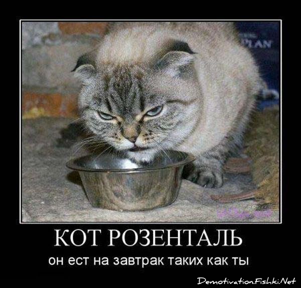 http://ru.fishki.net/picsw/052010/28/post/demotivator/demnotivator047.jpg