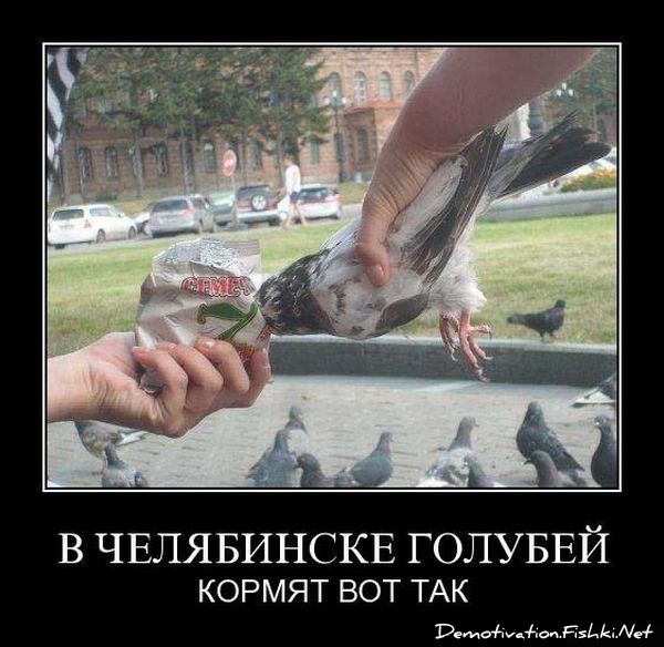 http://ru.fishki.net/picsw/052010/28/post/demotivator/demnotivator052.jpg