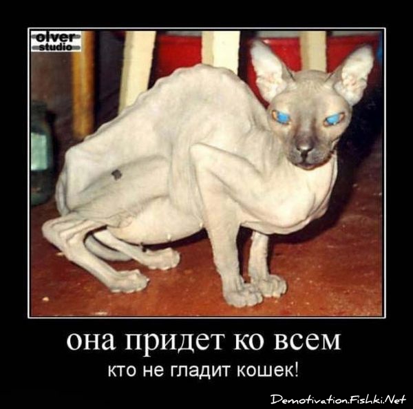 http://ru.fishki.net/picsw/052010/28/post/demotivator/demnotivator060.jpg
