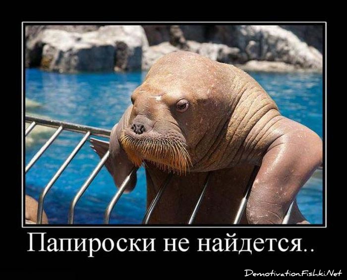 http://ru.fishki.net/picsw/052010/28/post/demotivator/demnotivator106.jpg
