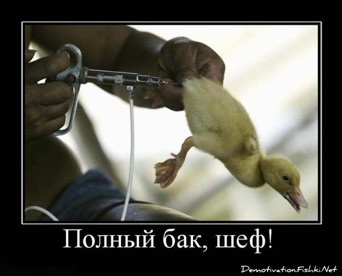http://ru.fishki.net/picsw/052010/28/post/demotivator/demnotivator107.jpg