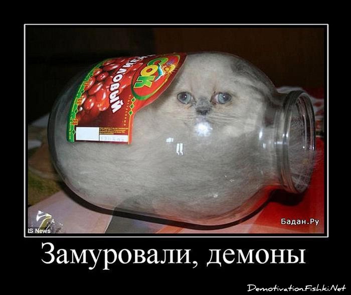http://ru.fishki.net/picsw/052011/04/post/demotivator/1006.jpg