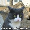 Юмор