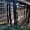 Фотоприкол недели