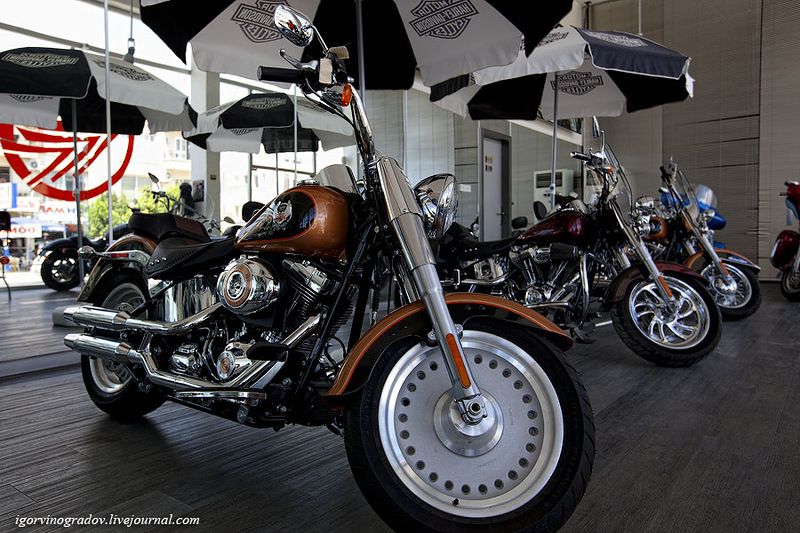 Мотоцикл Harley-Davidson крупным планом (28 фото)