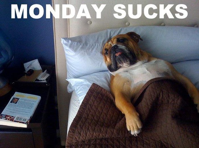 How I feel