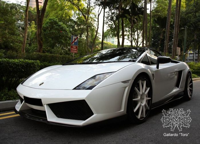Lamborghini Gallardo прокачали в ателье DMC (8 фото)