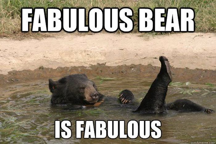 French bear hirl