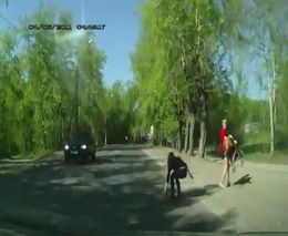 ТП переходит через дорогу