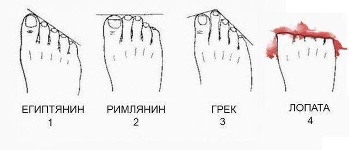 Пятничные комиксы (125 фото)