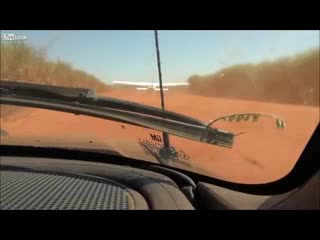 Предотвращение бегства