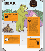 Humorous Survival Guides for Animal Encounters