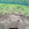 Бесплатно фото дорога, асфальт, люк, яма