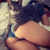 Бугагашеньки кот, попа