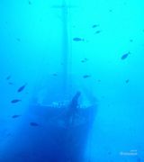 Фотографии затонувших кораблей 